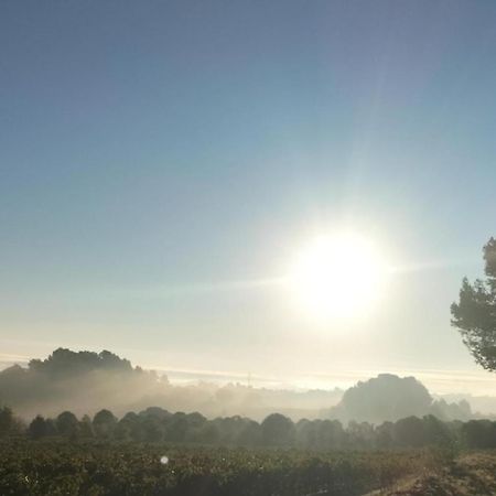Gites A Moussan ,Domaine De La Barque A 5 Mins De Narbonne Kültér fotó