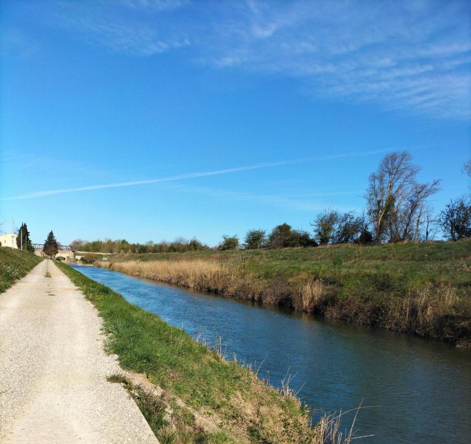 Gites A Moussan ,Domaine De La Barque A 5 Mins De Narbonne Kültér fotó