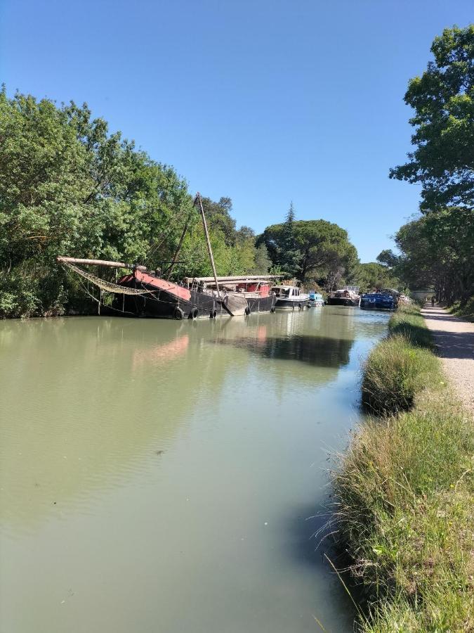 Gites A Moussan ,Domaine De La Barque A 5 Mins De Narbonne Kültér fotó