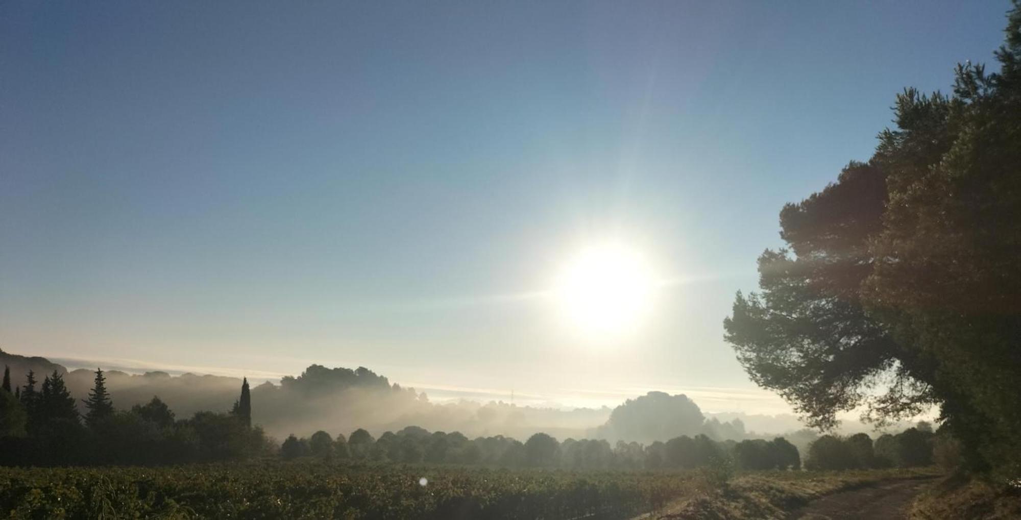 Gites A Moussan ,Domaine De La Barque A 5 Mins De Narbonne Kültér fotó